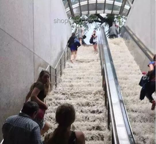 长沙暴雨亲历：小区楼梯变瀑布，我的应对与反思